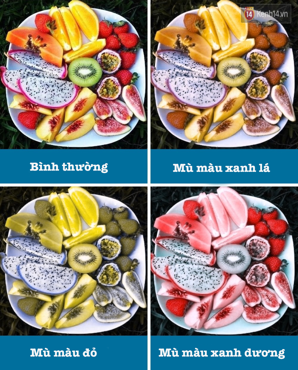 Mù màu - Hình ảnh minh họa